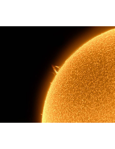 Filtre solaire H-alpha LUNT LS50FHa/B1200d1