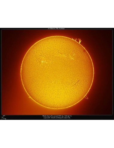 Filtre solaire H-alpha LUNT LS50FHa/B1200d1