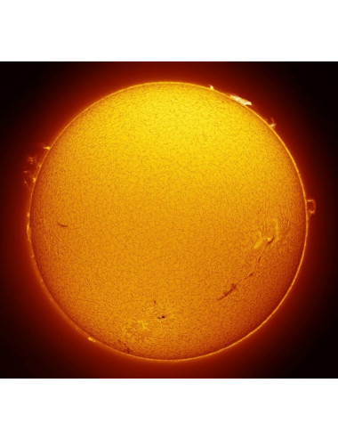 Filtre solaire H-alpha LUNT LS50FHa/B1800d2