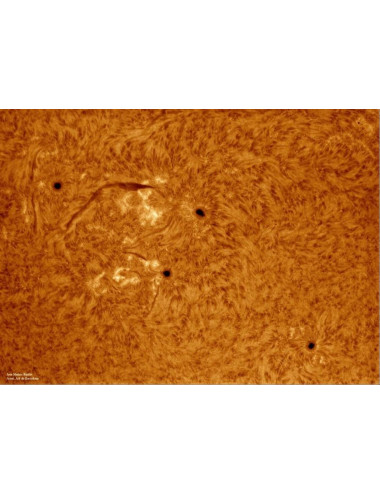 Filtre solaire H-alpha LUNT LS100FHa/B1200d2